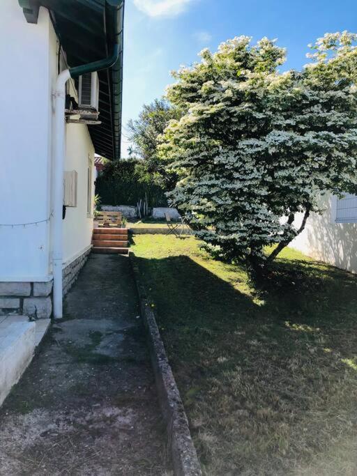 Le Petit Erromardie Saint-Jean-de-Luz Dış mekan fotoğraf